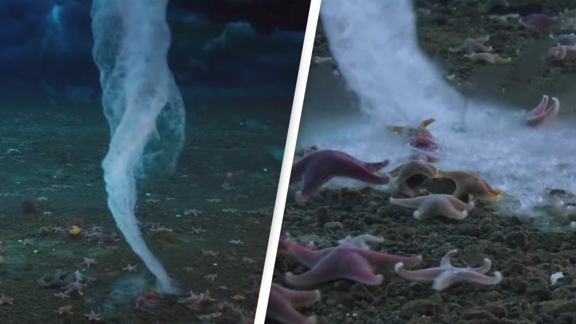 Rare ‘ice finger of death’ that kills everything it touches
