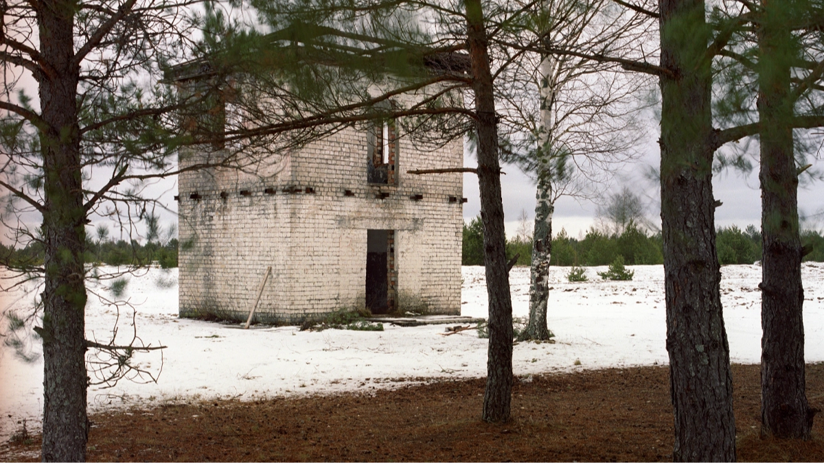 You're a top marksman if you can spot the deadly sniper hiding in this picture