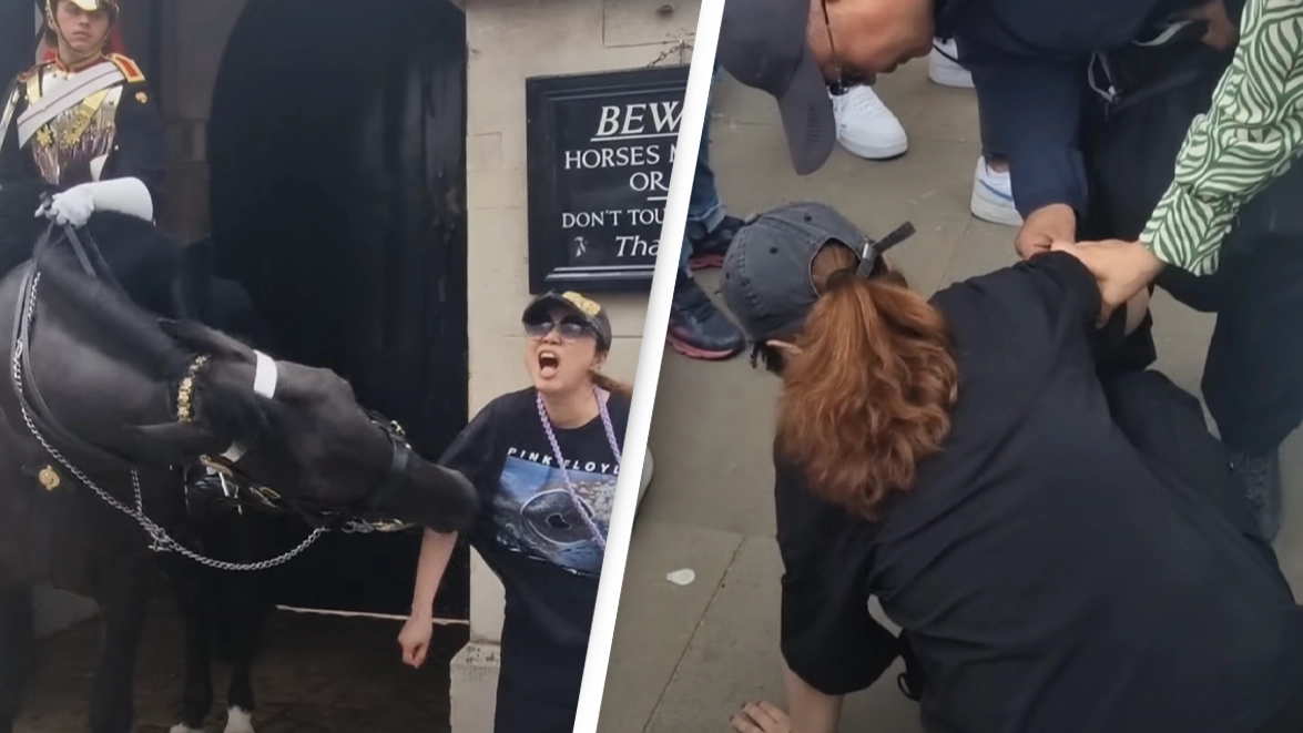 Tourist collapses after being bitten by King’s Guard horse while taking photo