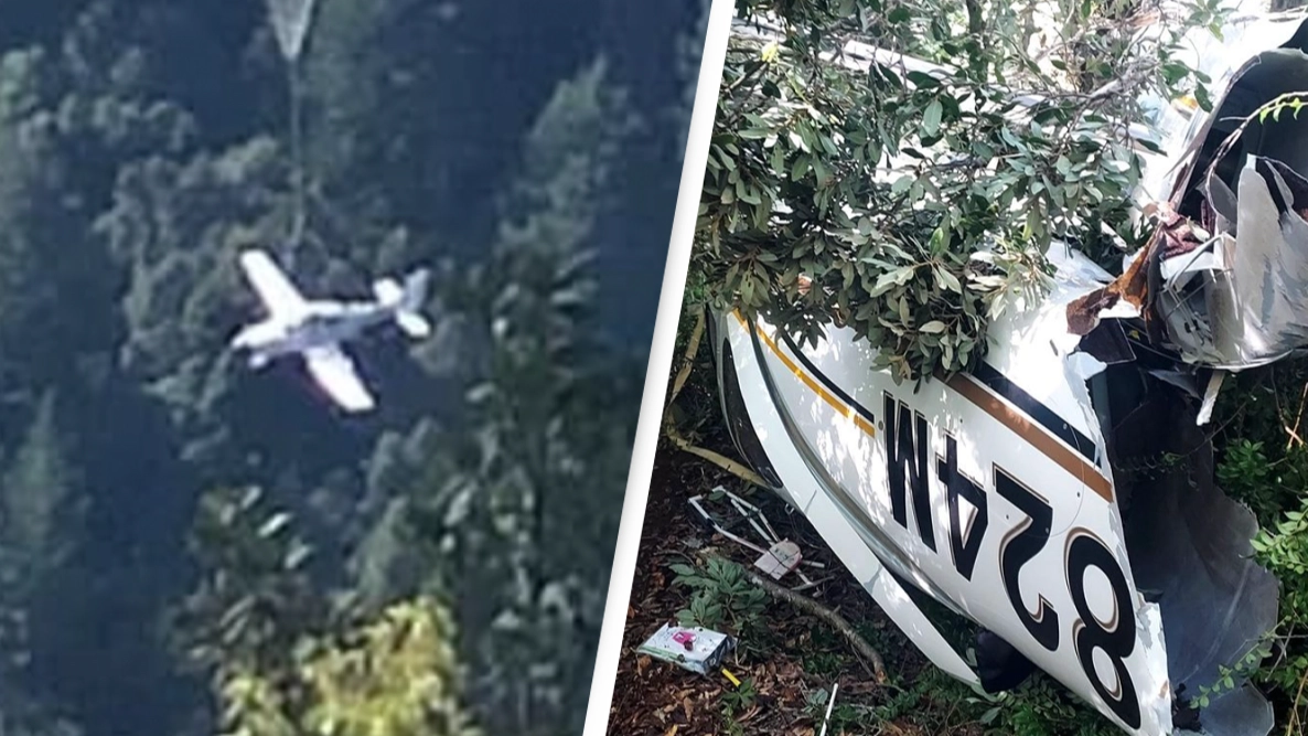 Couple and two-year-old daughter survive plane crash after quick-thinking action prevented disaster