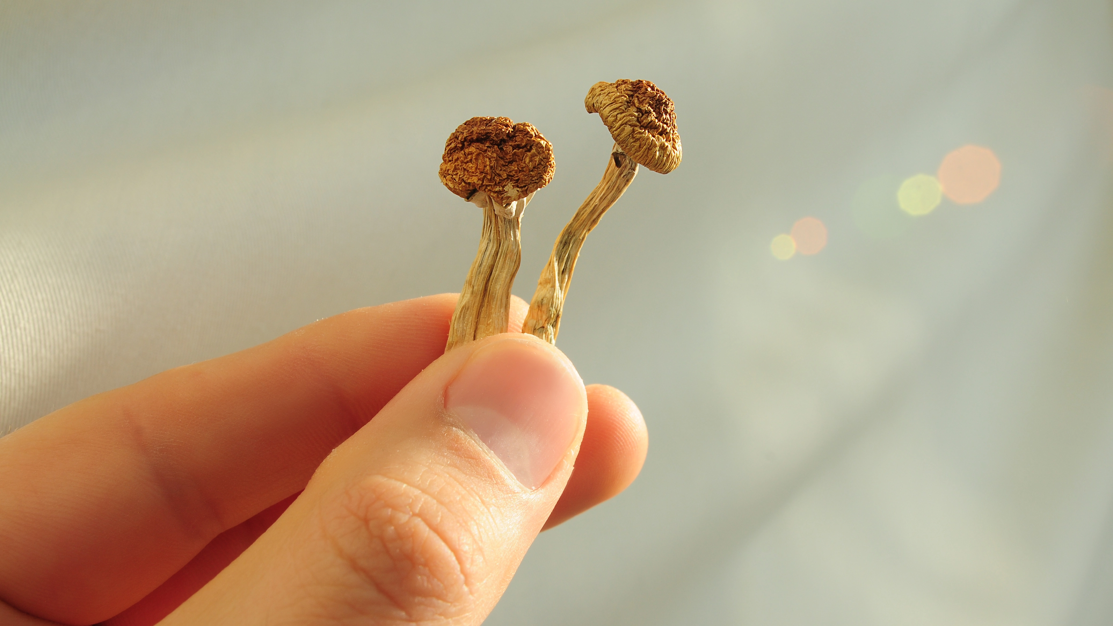 Scientists explain why magic mushrooms can combat Parkinson's disease