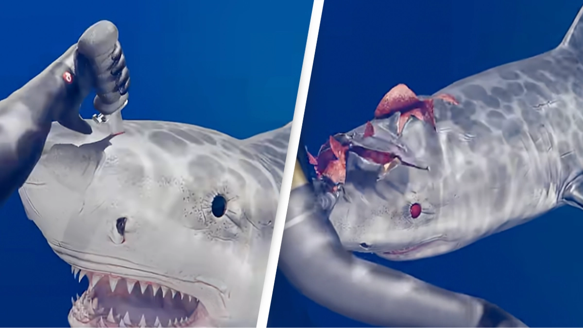 Shocking simulation reveals how 'world's deadliest knife' works during a shark attack