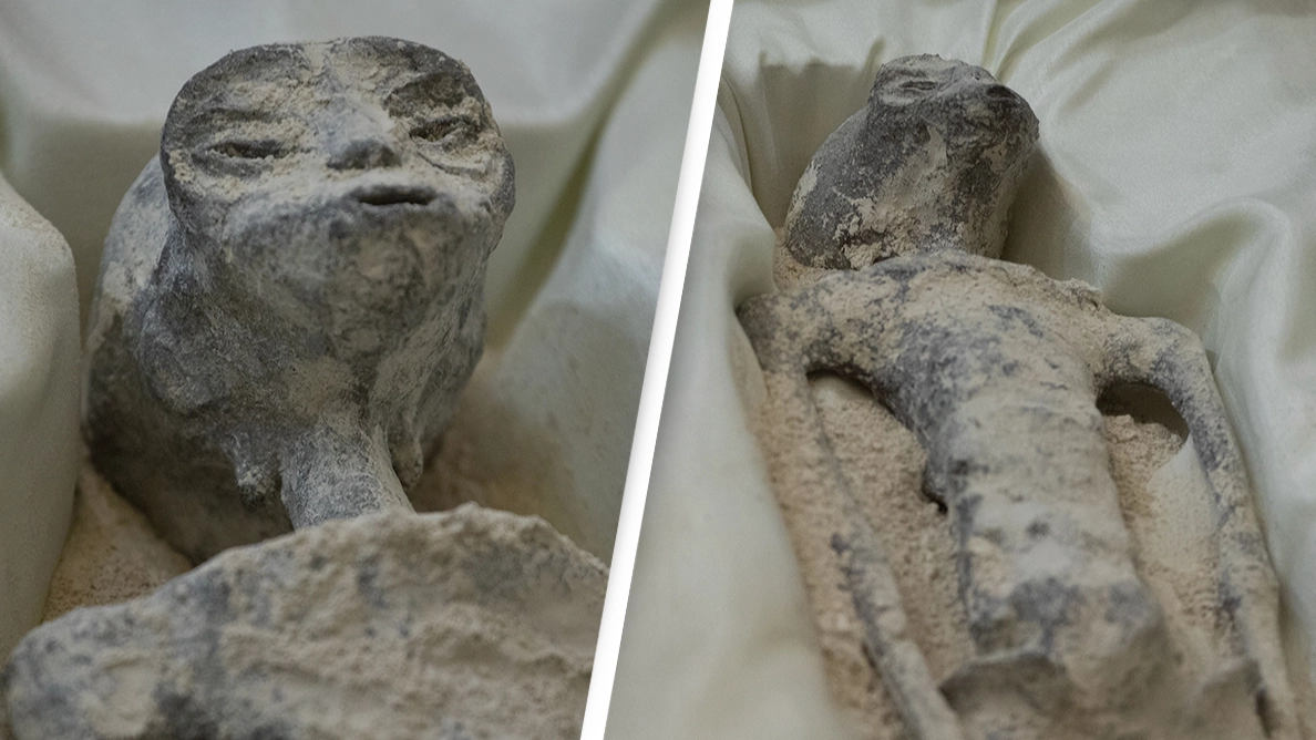 ‘Alien corpses’ found to have ‘no relation to human beings’ after doctors conclude tests