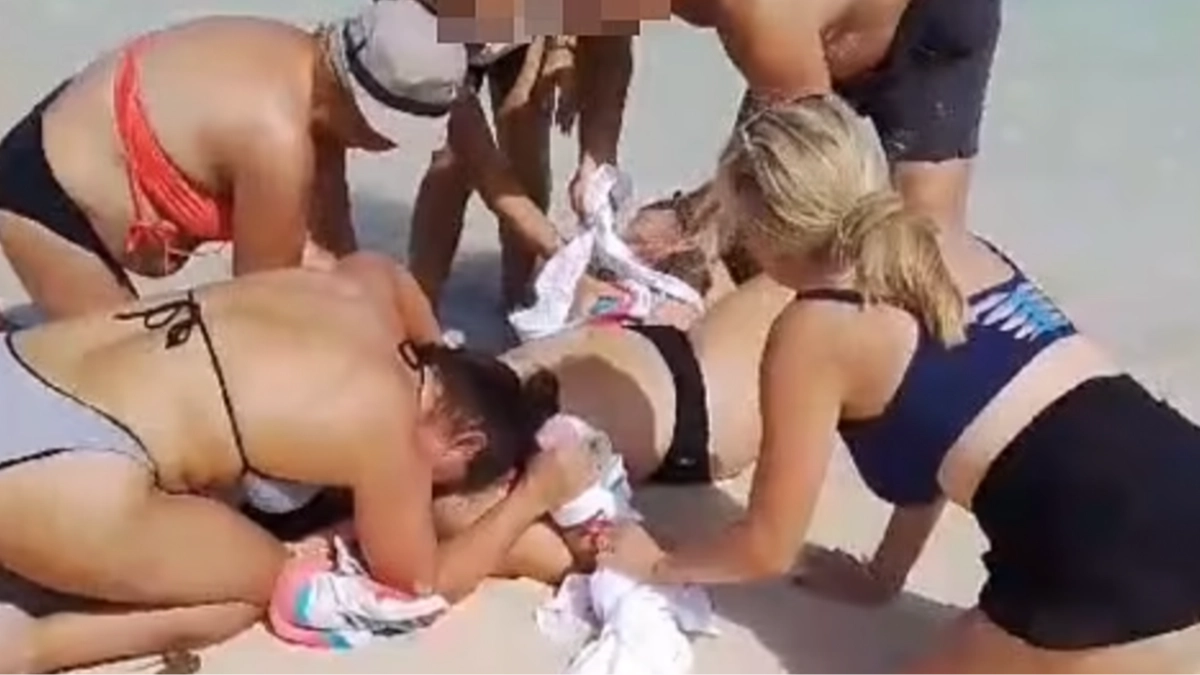 Witnesses describe harrowing scene after tourist has both hands bitten off by shark while trying to take picture of it