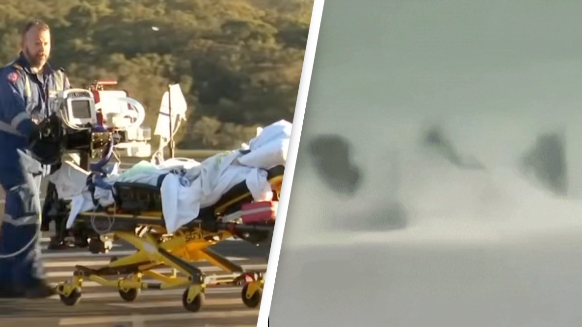 Surfer gets leg ripped off by great white shark just before it washed ashore