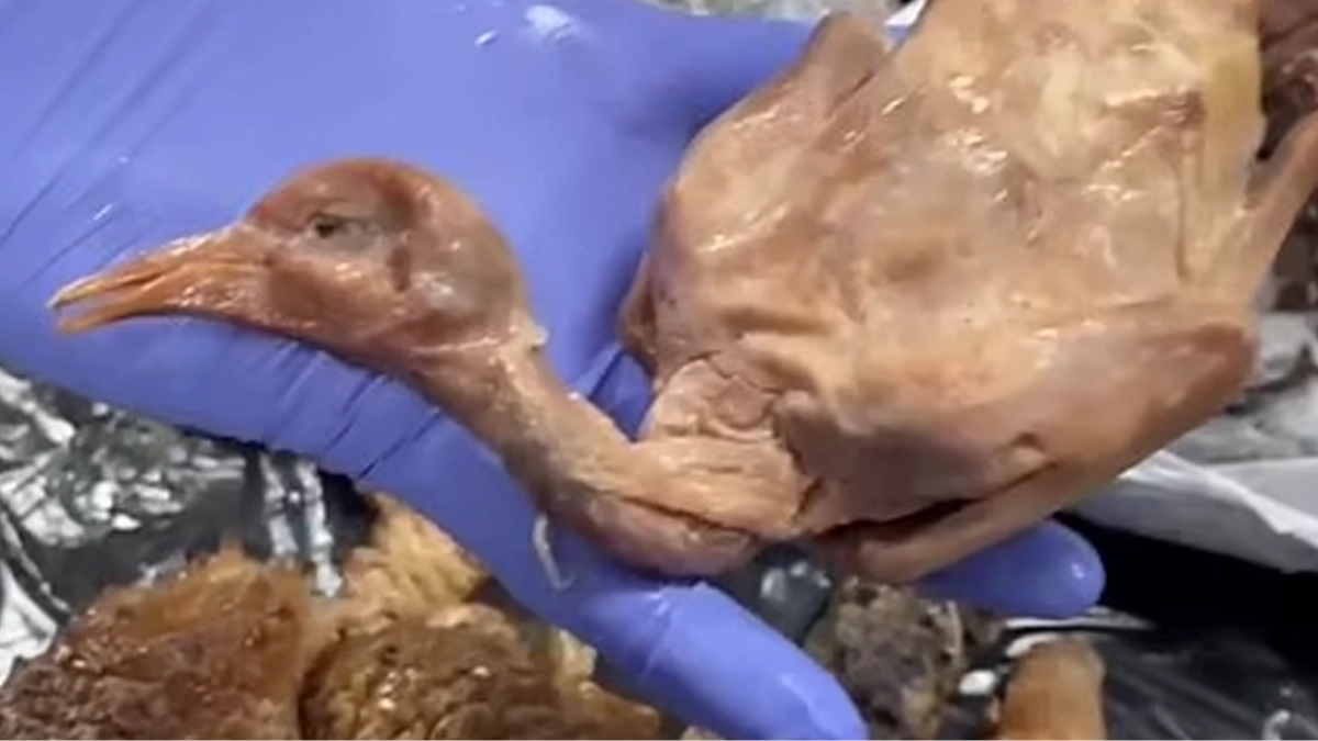 Chinese restaurant shut down after horrifying discovery of what their 'roast duck' really was