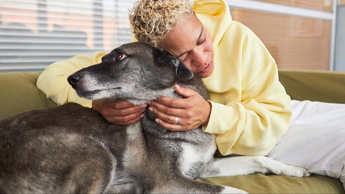 Scientists discover how dog contact improves survival in cancer patients in shocking new study