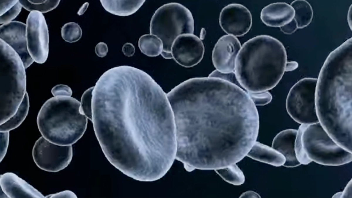 Shocking simulation shows exactly what happens to your body when you fast for 72 hours