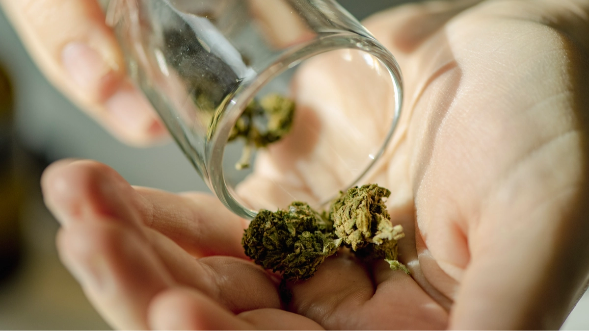 Risks of microdosing weed as reasons people do it are revealed