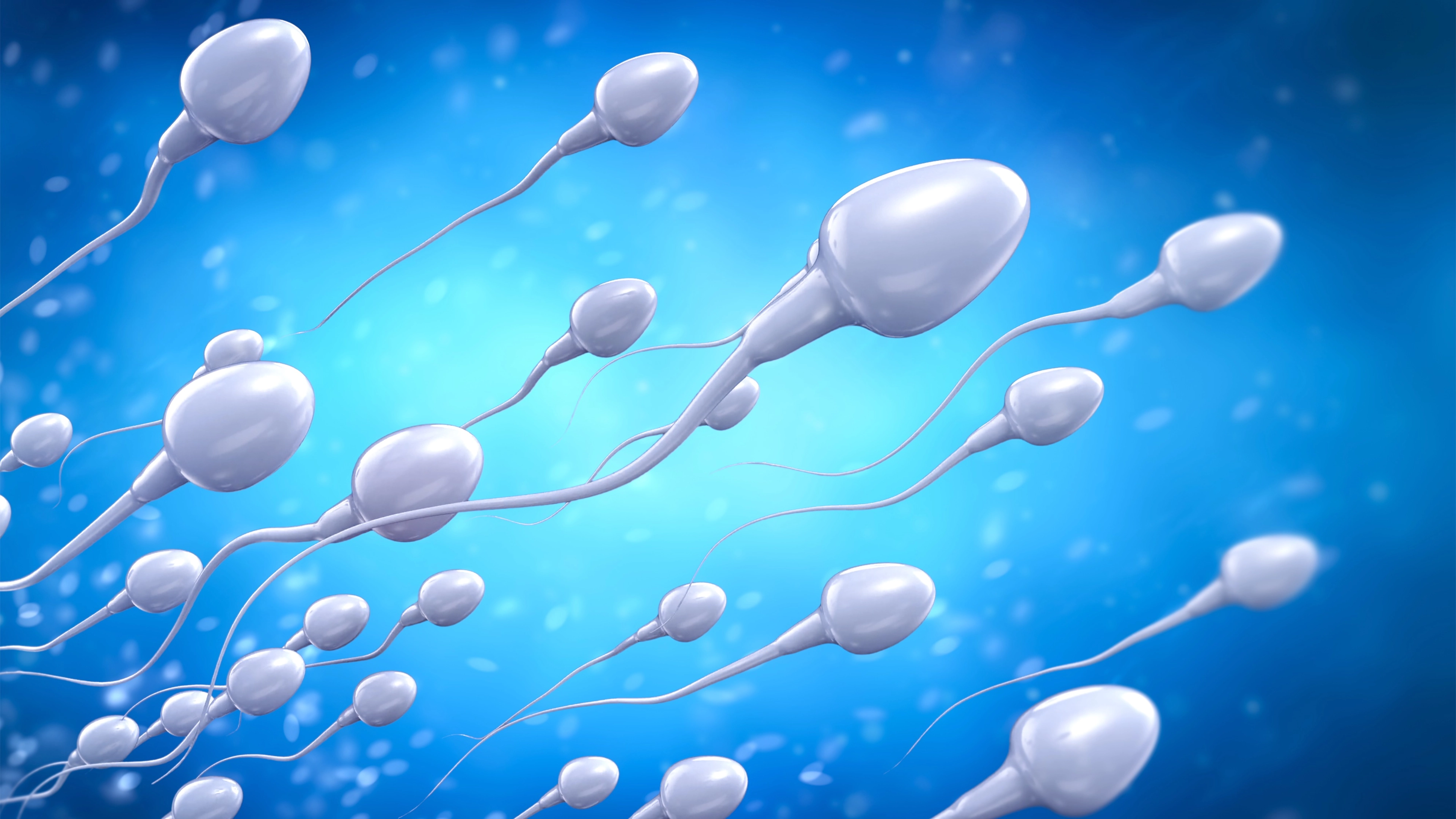 Bizarre Sperm Racing World Cup features $100K prize