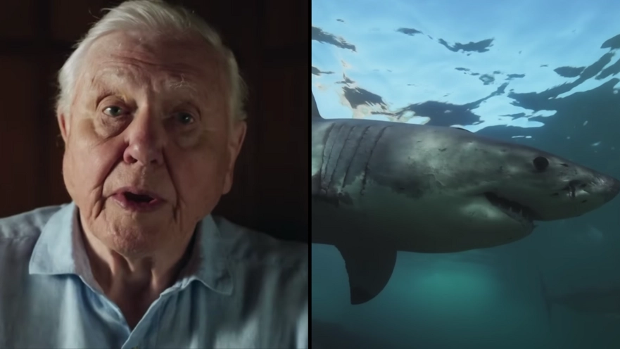 Viewers have been left in tears after watching the first episode of Planet Earth III