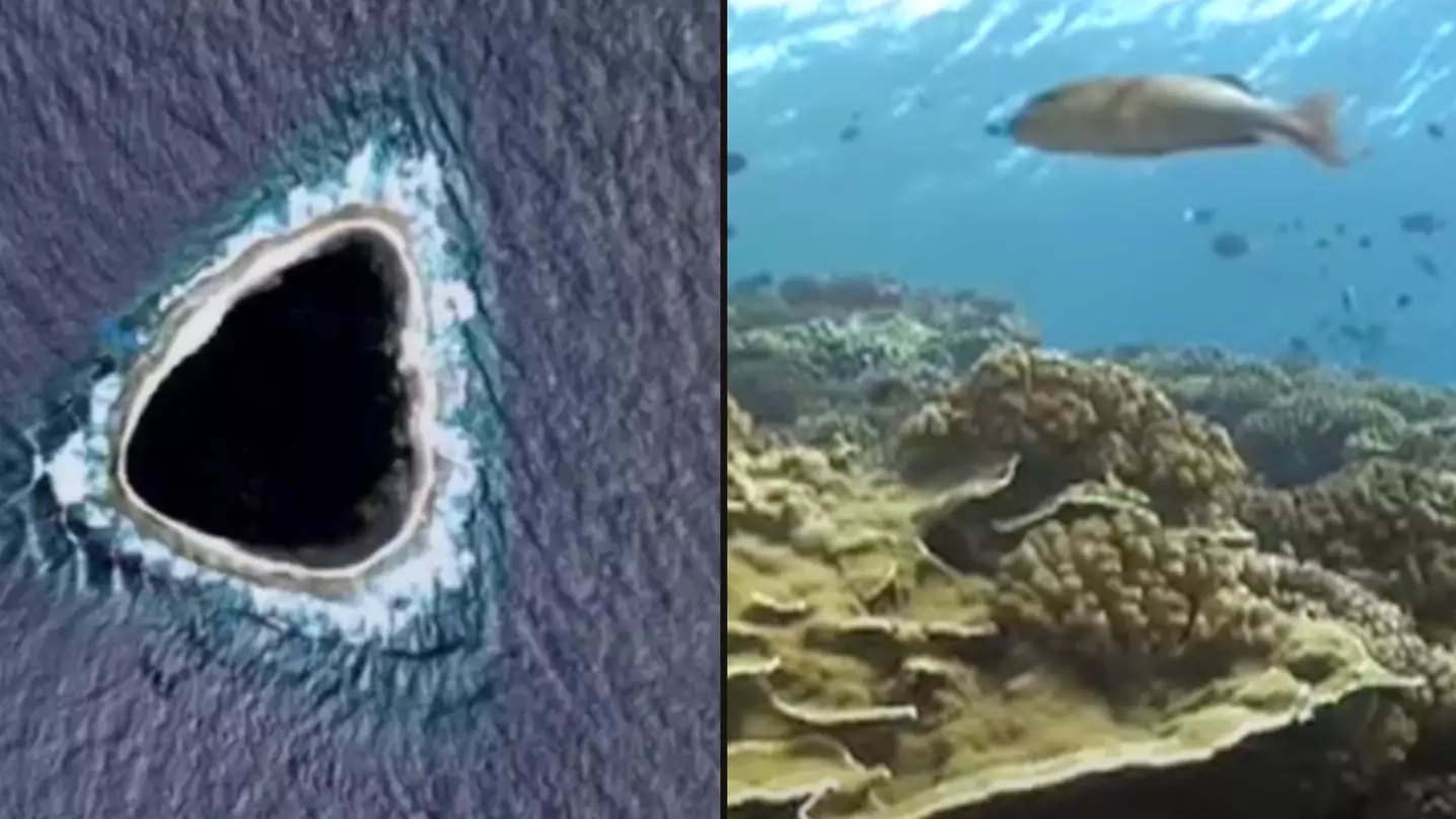 Diver shows reality of mysterious 'hole' completely blacked out of Google Maps