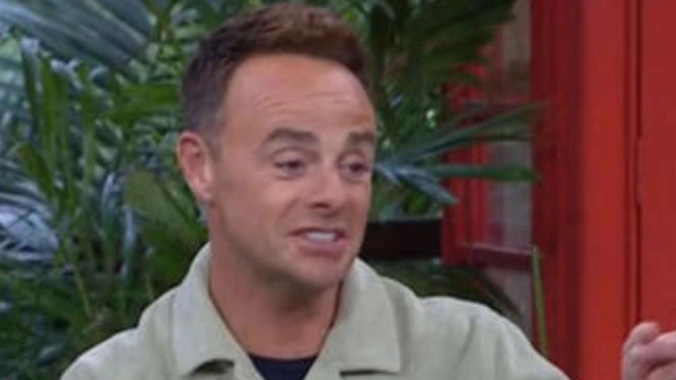 Ant finally addresses ‘problem’ with Kelly Brook after feud rumours