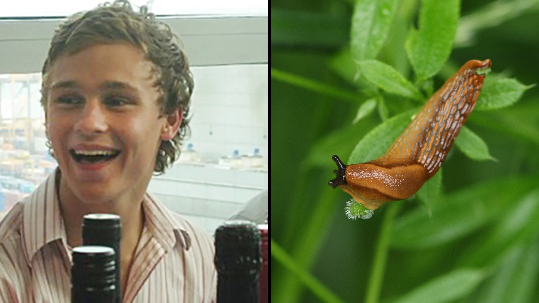 Man ate slug after being dared to by his mates and it ended in a devastating tragedy