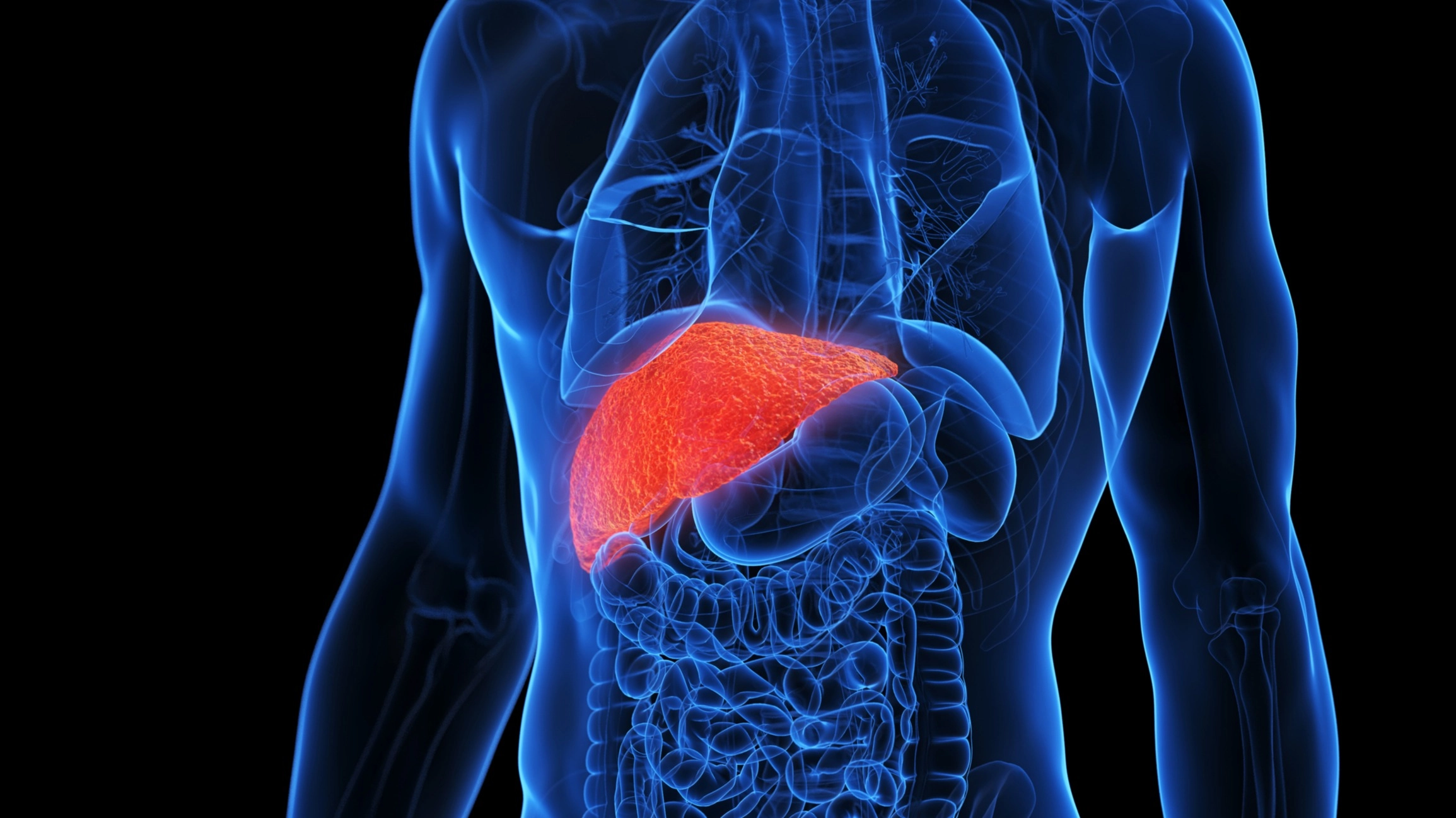 Red flag signs of liver damage as doctor shares 'non-negotiable' habits to protect organ