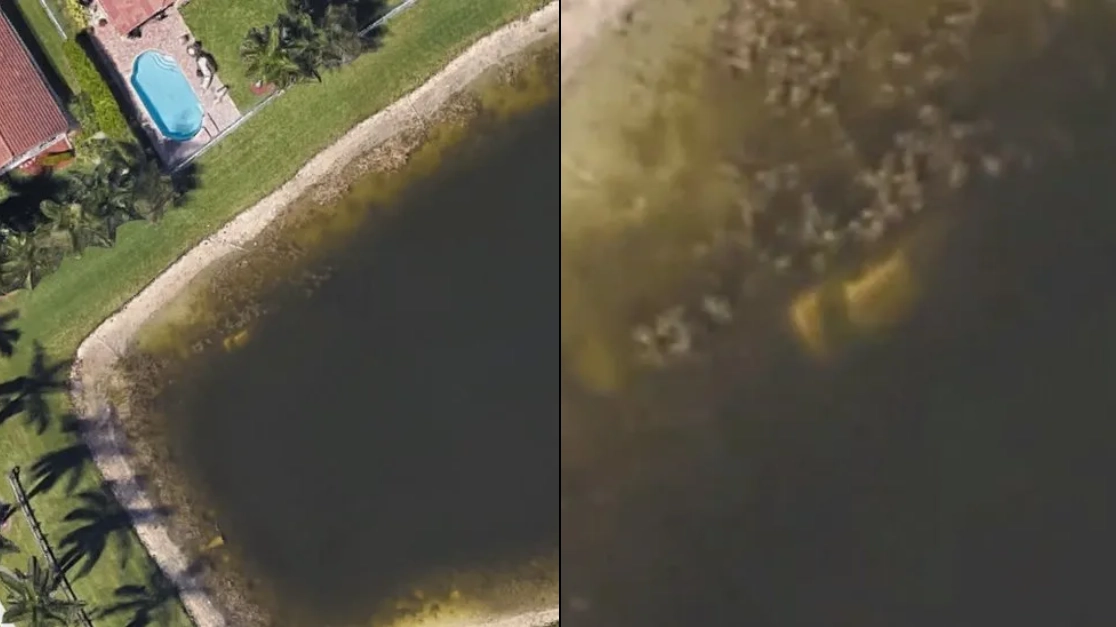 Man used Google Earth to find his old neighbourhood and found missing dead body instead