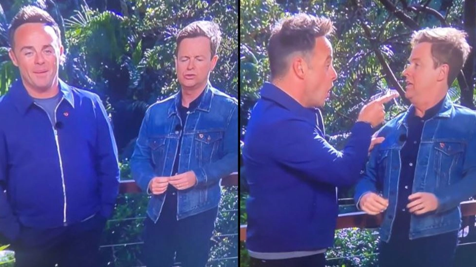 Ant and Dec make brutal joke about Seann Walsh and Matt Hancock cheating