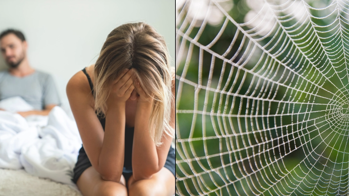 Five troubling signs your partner is 'spider-webbing' you in your relationship