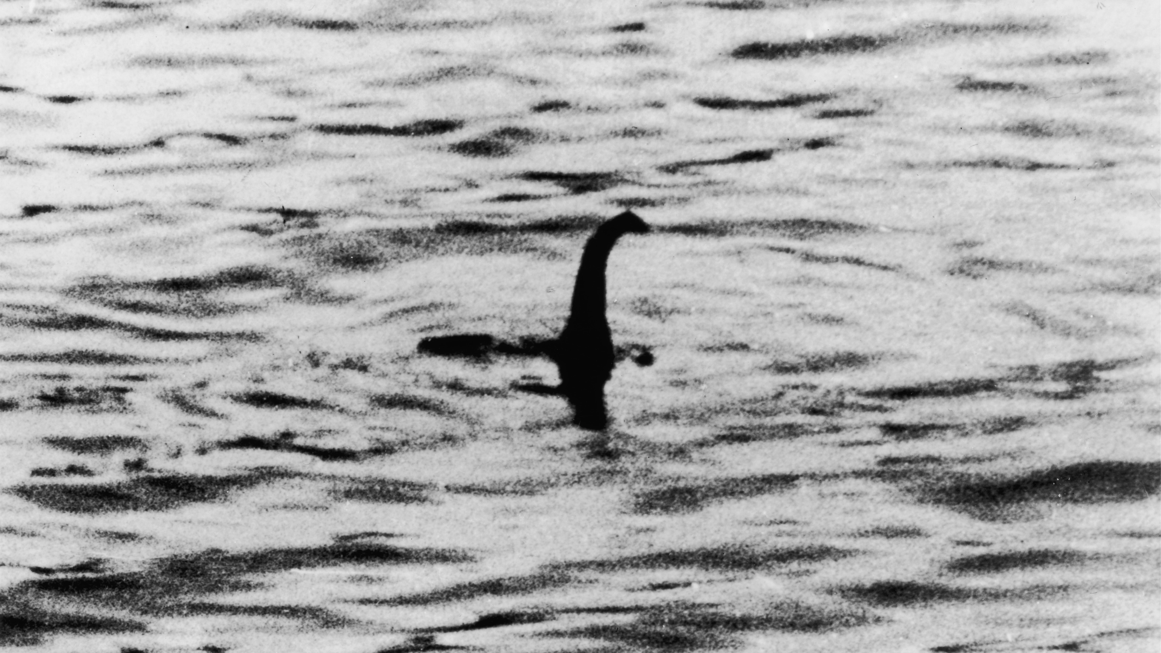 Mystery behind Loch Ness Monster may have finally been 'solved' by Oxford scientist