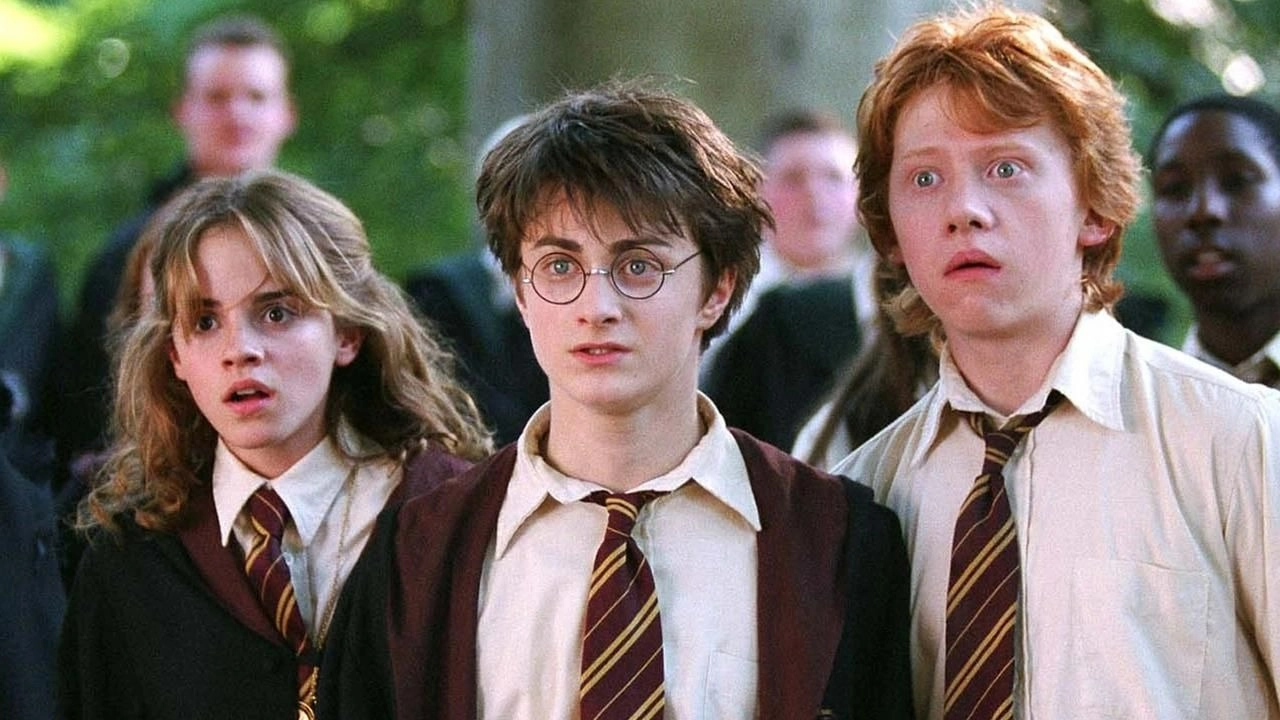 Author claims if you watch or read Harry Potter as an adult you will notice something fascinating