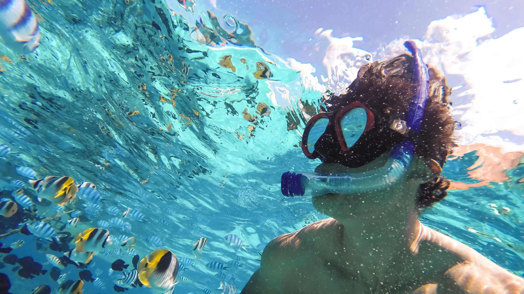 Essential snorkelling gear that will help you find Nemo