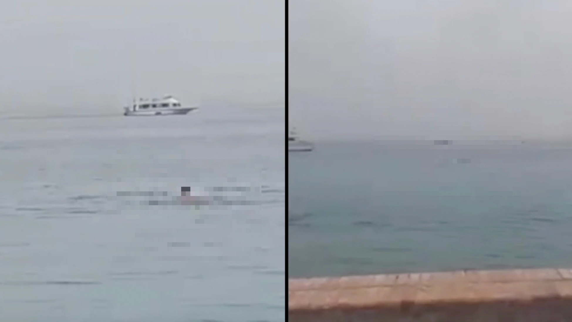 Man mauled to death and eaten by shark off Egyptian tourist resort