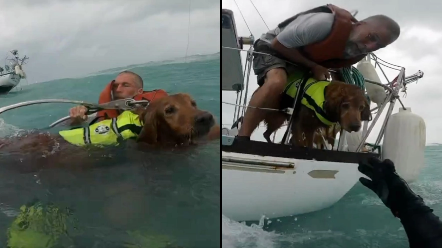 Sailor living on boat stranded in hurricane shares chilling message he told Golden Retriever as they sank
