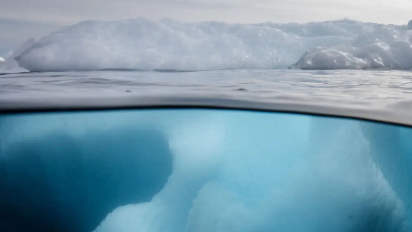 Scientists make surprising discovery at what lies under Antarctic ice sheet after its been covered in ice for 34 million years