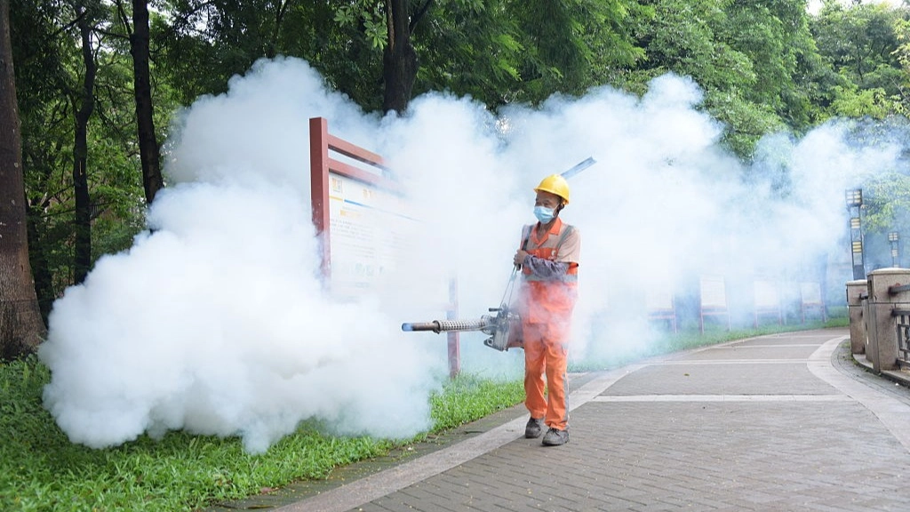 How did Chikungunya virus start as 'forceful pandemic measures' begin in China