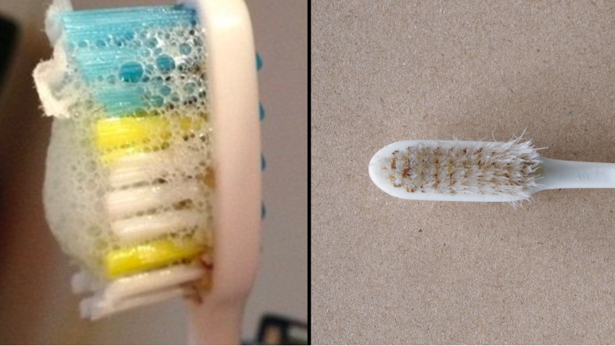 Doctor warns there could be mould growing on your toothbrush without you knowing