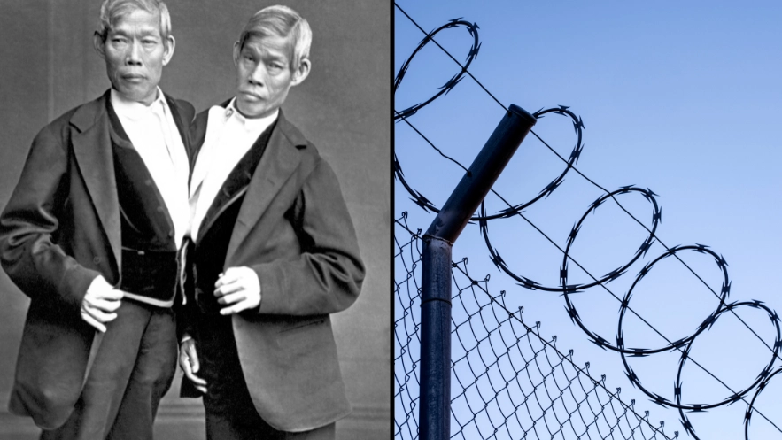What happens if one conjoined twin commits a crime but the other is innocent