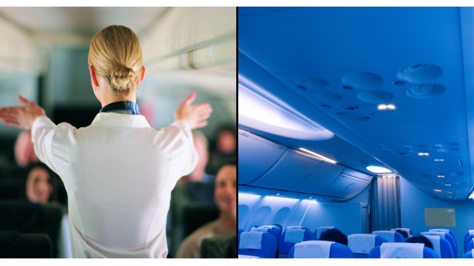 Secret 'silent review' carried out by flight attendants to prepare for emergency