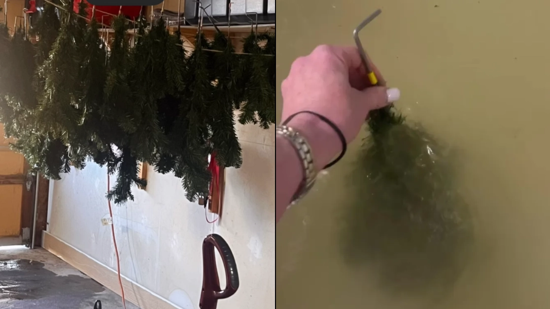 Woman sparks huge debate as she's left horrified after washing her Christmas tree