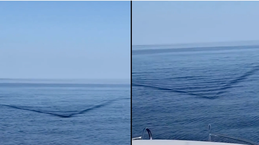 Terrifying Moment '20ft' Shark Is Spotted Swimming Towards Boat