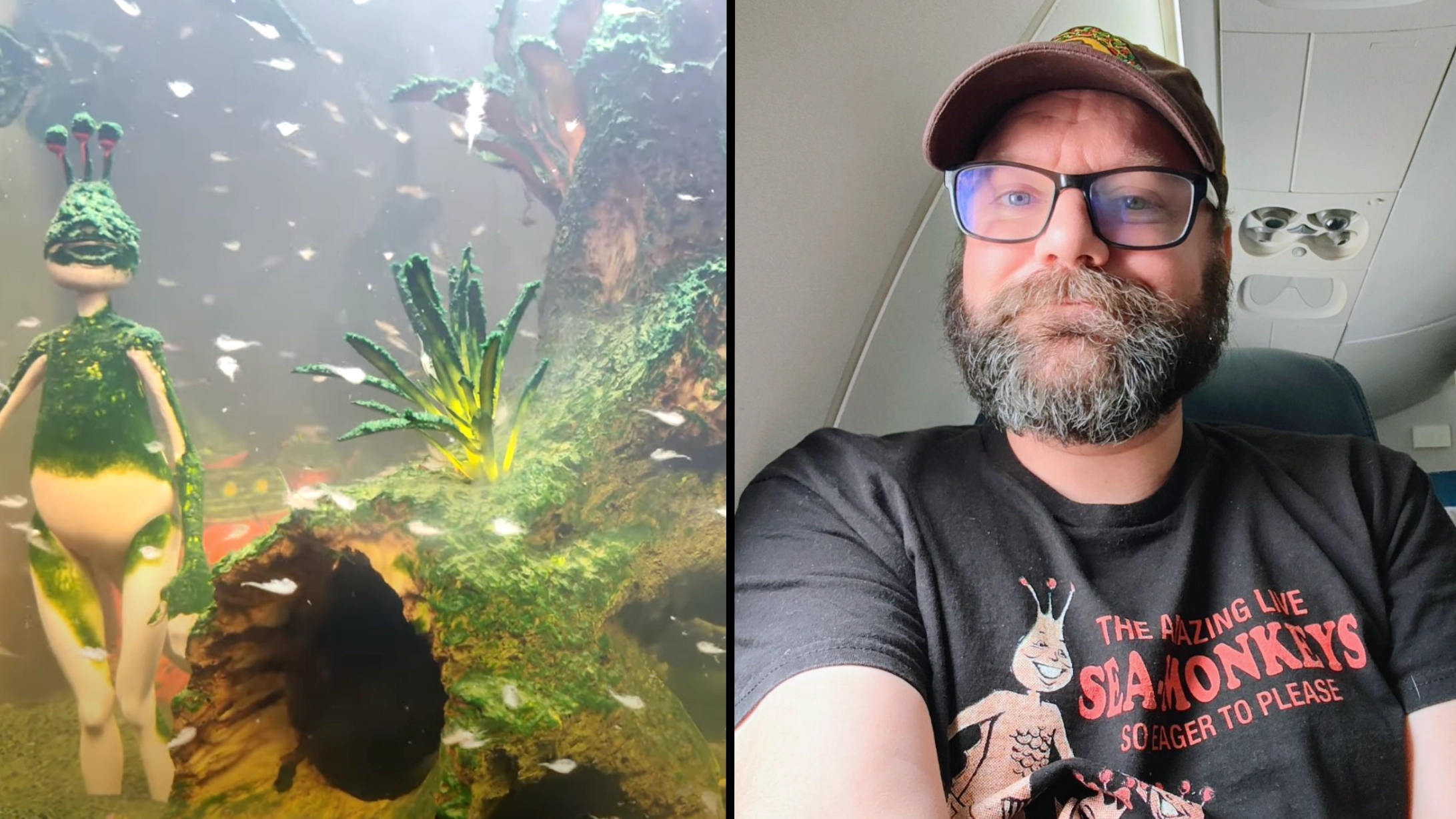 Man who created the world's largest Sea Monkey colony has revealed his biggest concern