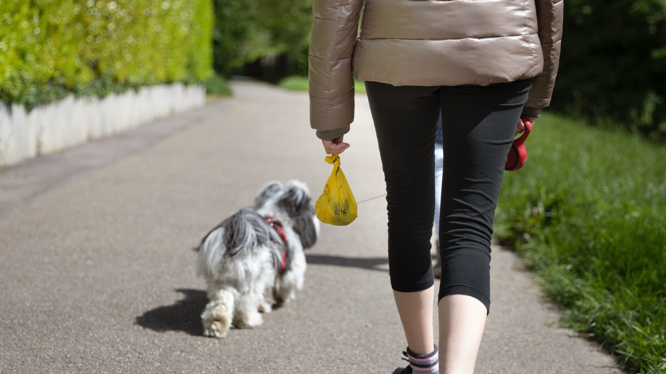 Serious health warning issued to anyone who has flushed pet's poo down the toilet