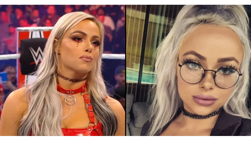 Fan Of WWE Star Loses House To Con Artist Pretending To Be Her
