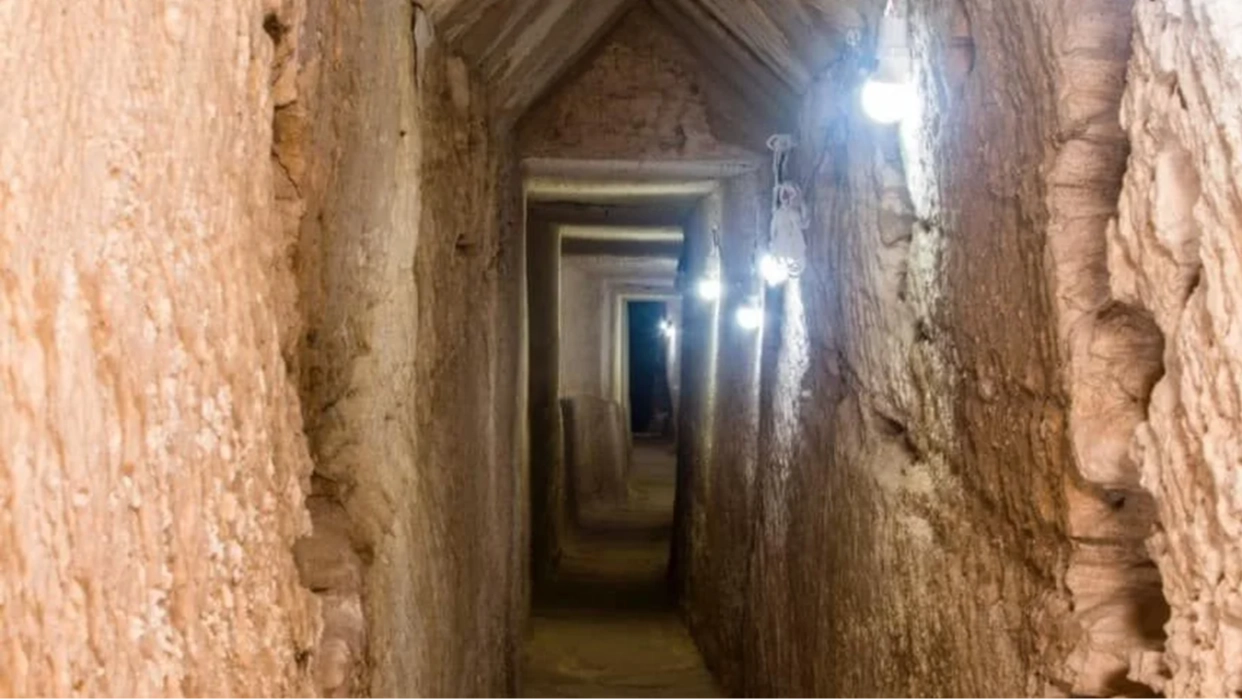 'Miracle' discovery found by archaeologists in ancient Egyptian tomb