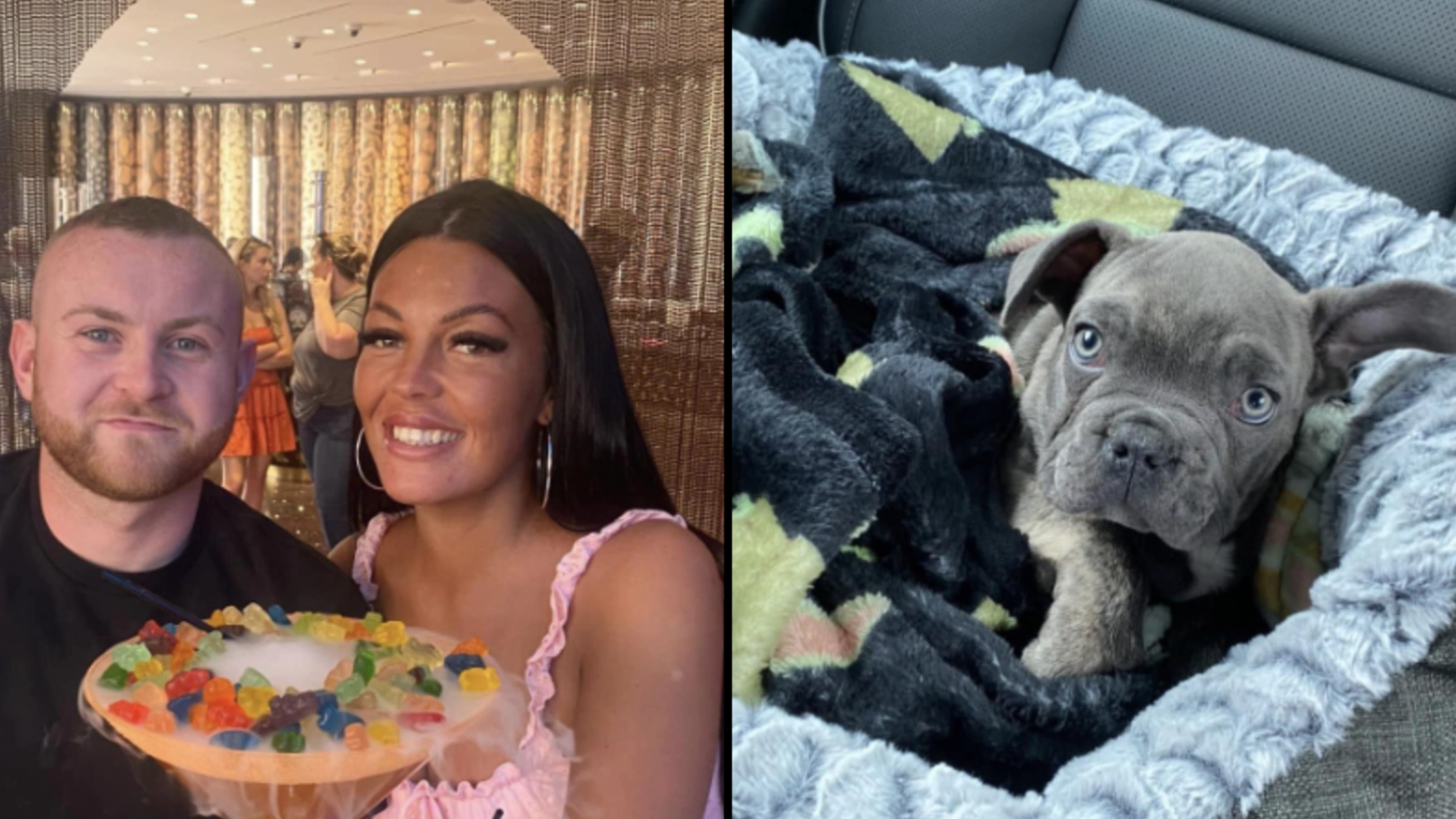 Family left devastated after finding out their dog had been cremated by the kennel they left him in