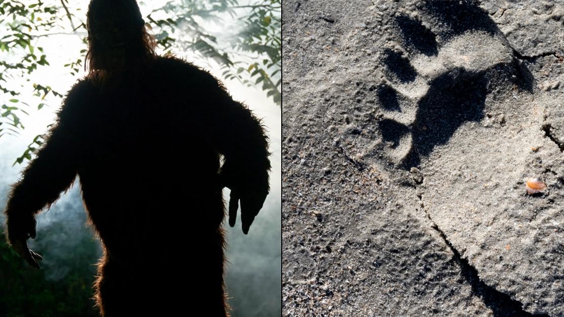 Man claims to have spoken to 'Bigfoot' and says the conversation filled him with 'doom'