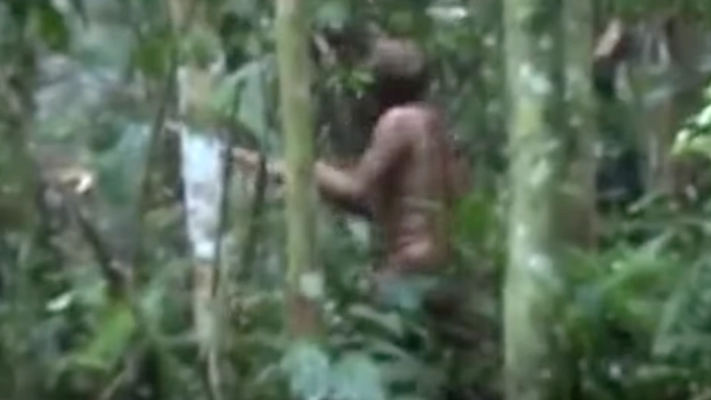 Tragic story of the 'loneliest man in the world' who spent 26 years alone in the Amazon rainforest