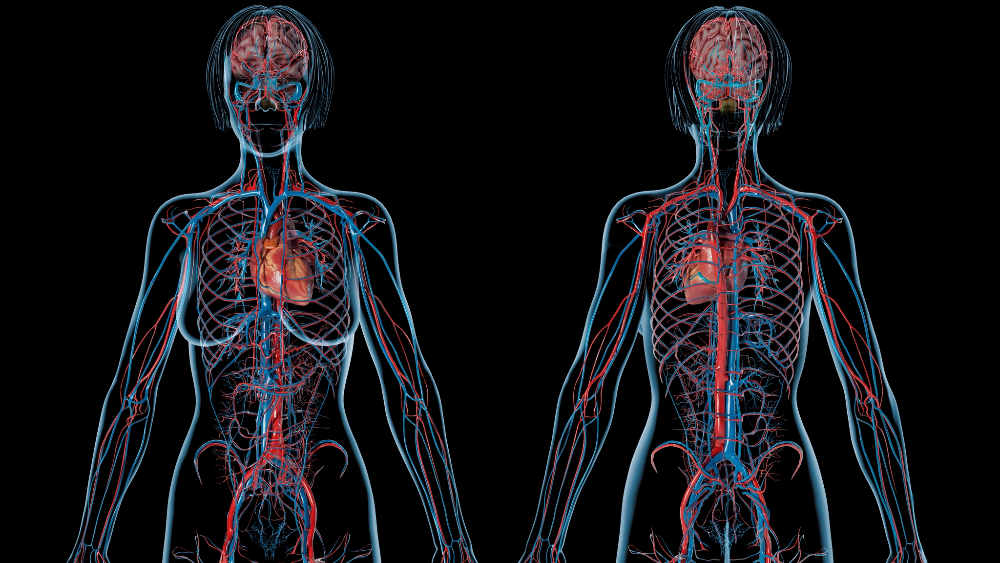 The strength of one body part could be a huge indicator of how long you will live