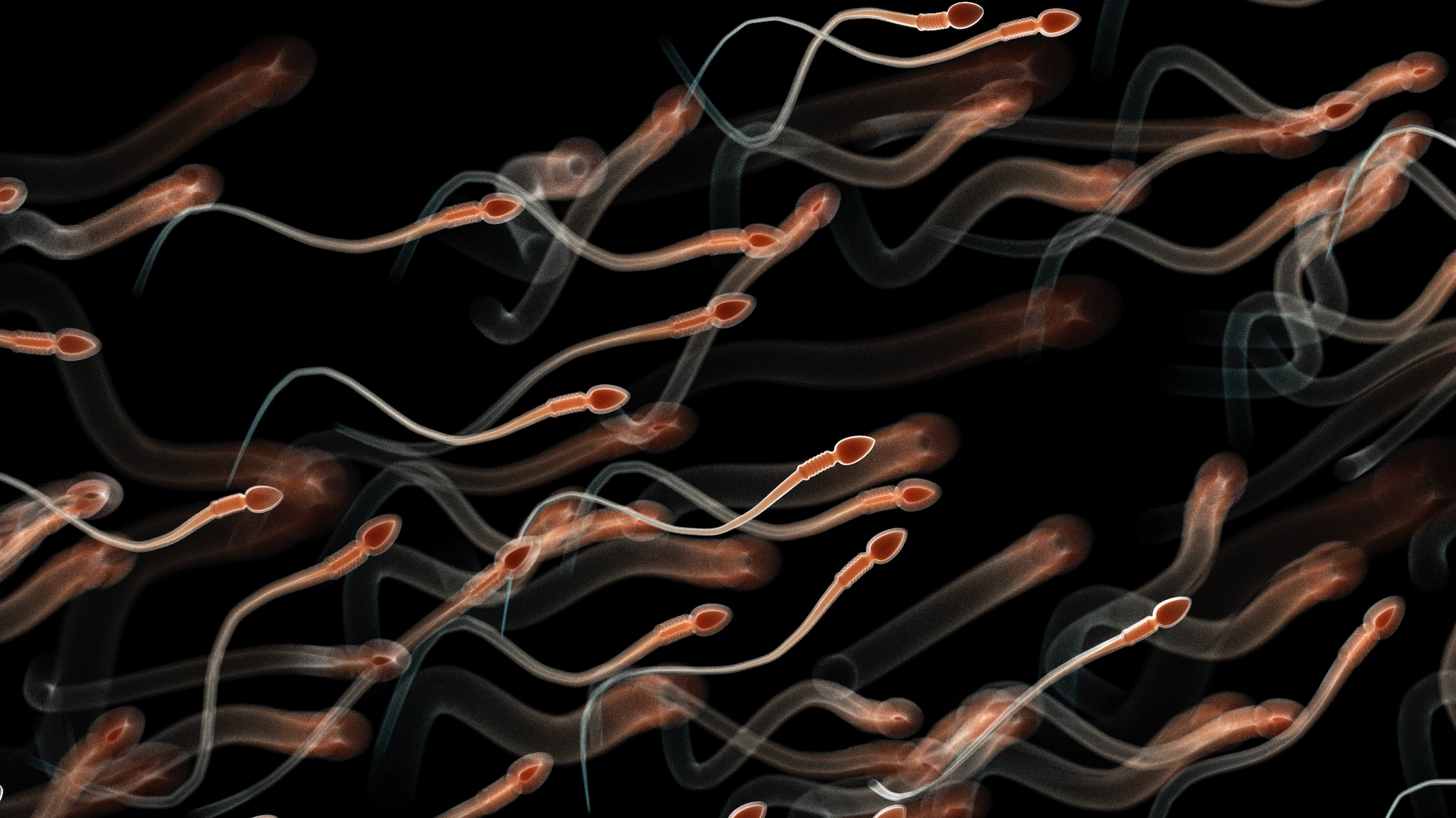 Strict rules to participate in the first-ever Sperm Racing World Cup where winner will take home $100,000