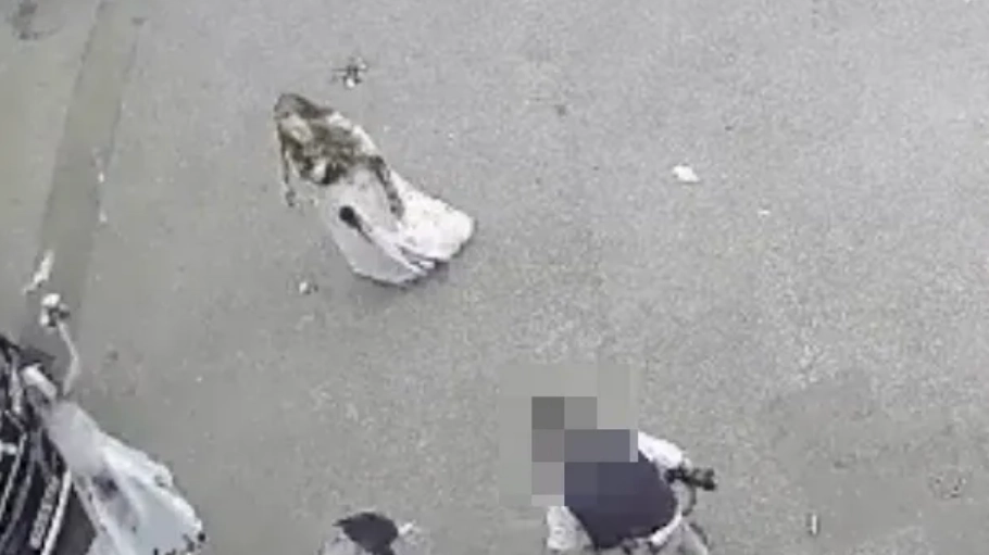 CCTV captures moment sister-in-law throws paint over Kent bride