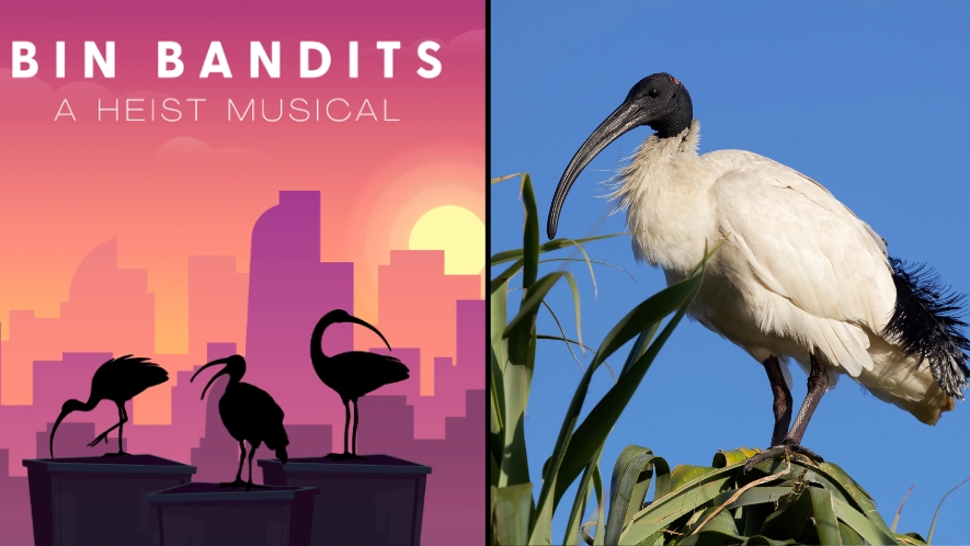 Prime Video 'Announces' New Musical Series About Bin Chickens