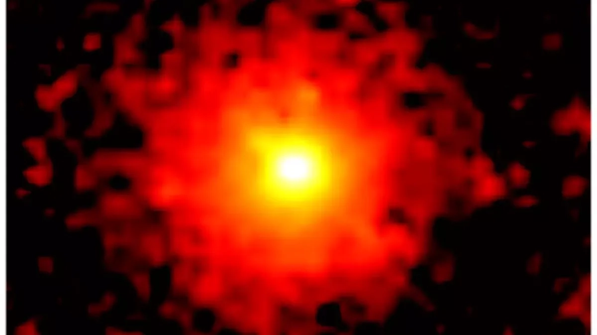 Harvard scientist claims tail 'grown' by 'potentially hostile threat' could be alien activity