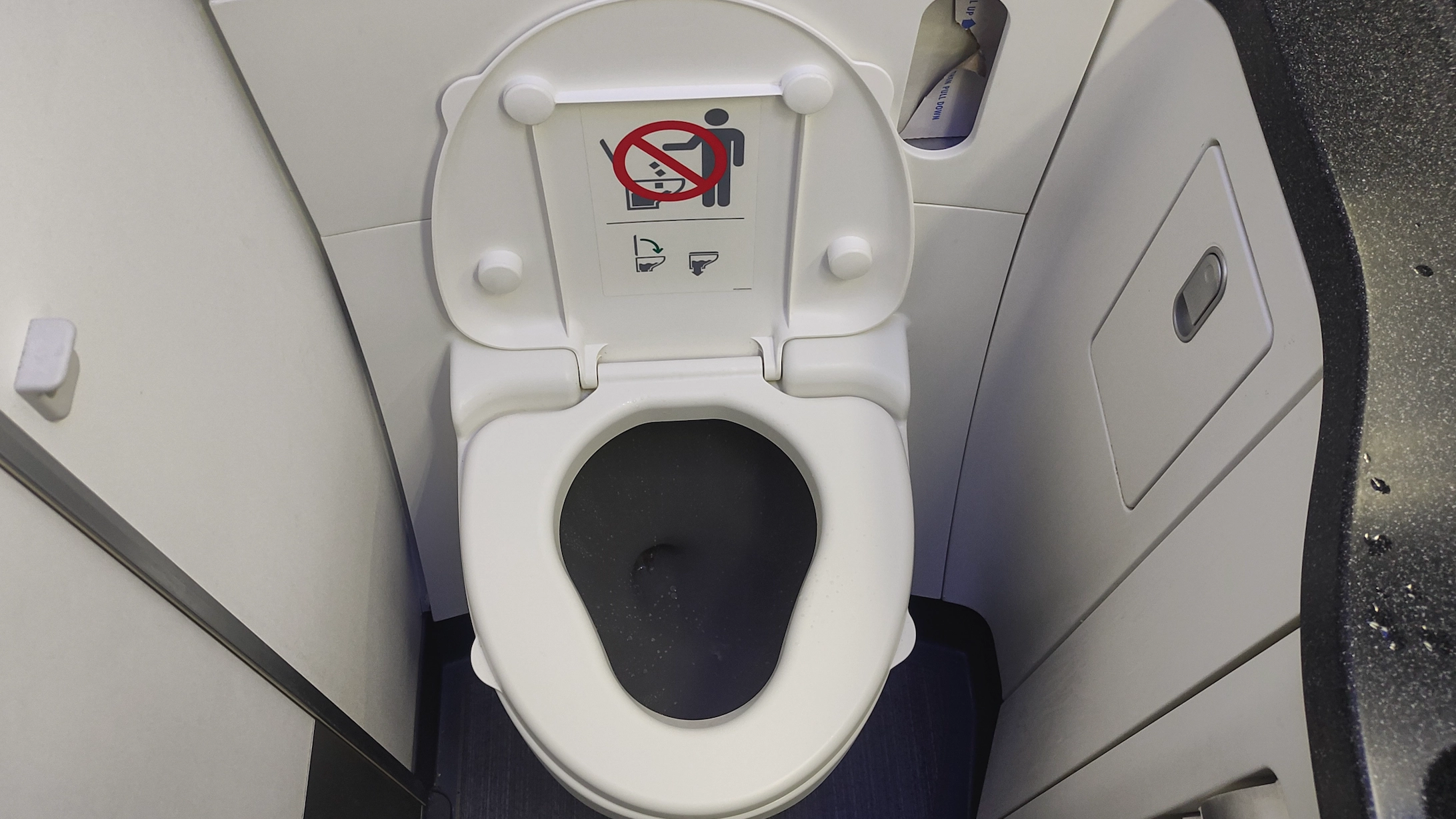 Unsettling reason aeroplane toilets flush in the way they do with disgusting 'blue ice' on some aircraft