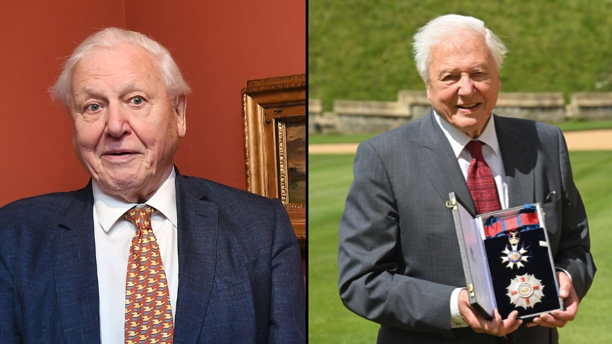 David Attenborough says he has regrets from his legendary career