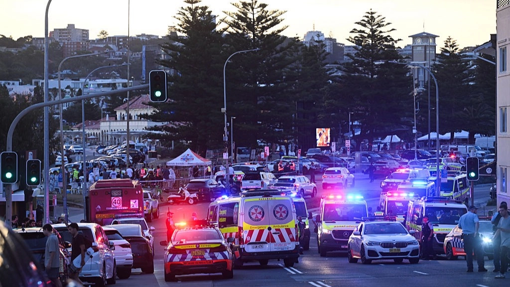 Mum of alleged Bondi Beach shooter breaks silence as further details revealed
