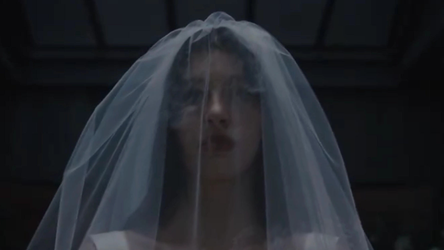 First trailer for new Netflix horror by Baby Reindeer director and Duffer Brothers released